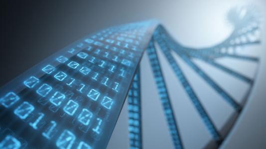 丰田开发了一种新的DNA分析技术 以大大加快农业生产的改进