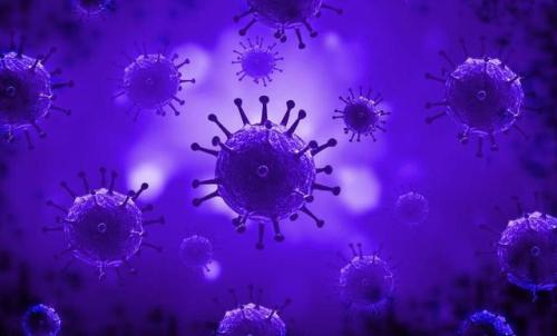 报道最少的人工病毒有助于推进基因治疗