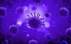 报道最少的人工病毒有助于推进基因治疗