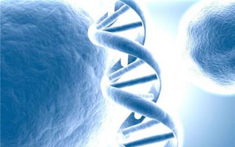 快速基因分析方法可加速光合作用研究