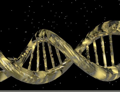 DNA工具可以让你追溯你的古老血统