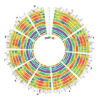 DNAnexus为玉米基因组的研究和分析提供动力