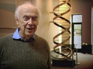 实验室撤销对有争议的DNA科学家沃森的荣誉