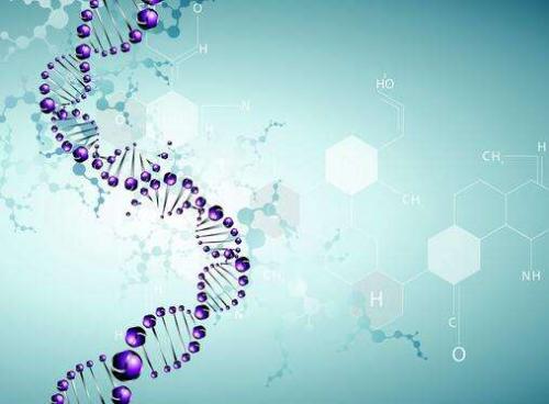 环境DNA揭示了河流中的生物多样性