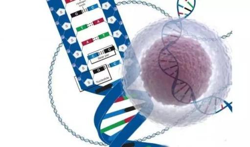 工程师对人体细胞进行编程 以在其DNA中存储复杂的历史