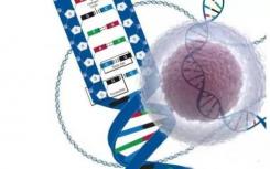 工程师对人体细胞进行编程 以在其DNA中存储复杂的历史