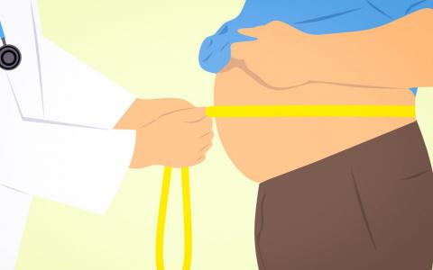 腹部脂肪减少机制从运动揭示