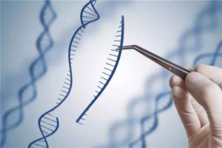 合成DNA的新方法可以导致更好的基因治疗