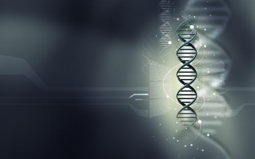 CRISPR-Cas9系统的变异提供了编辑而不会削减两条DNA链