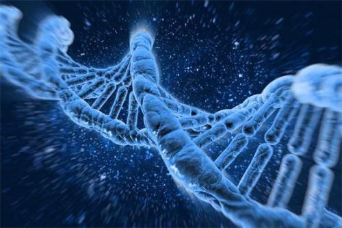 DNA的动态特性使其非常适合作为生活蓝图