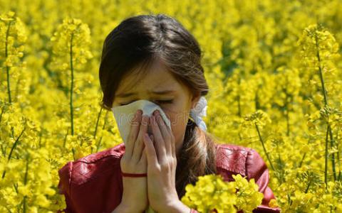 基因组学研究指出花粉过敏原的起源