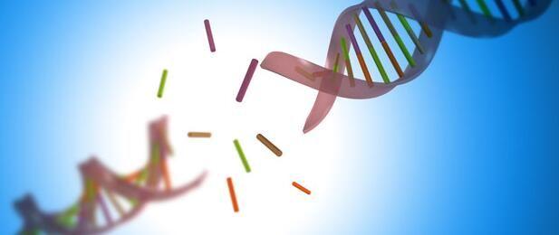 研究人员对DNA损伤进行前所未有的研究