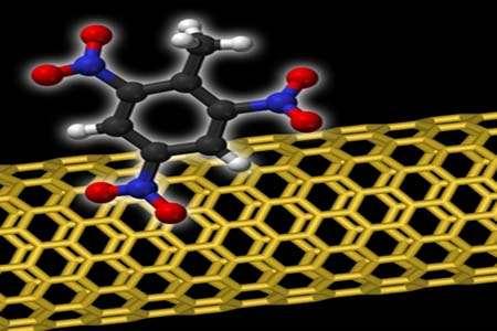 大型二十面体蛋白质纳米笼的精确设计推动了生物工程界限