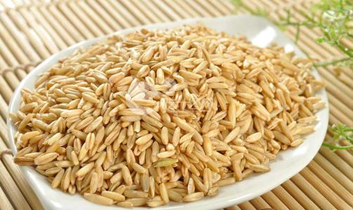 6000年生大麦籽粒的基因组首次测序