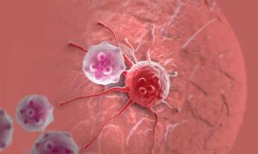 细胞死亡 蛋白质如何驱使免疫细胞自杀