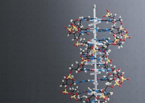 研究人员将信息安全地存储在DNA中