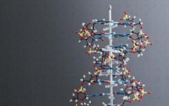 研究人员将信息安全地存储在DNA中