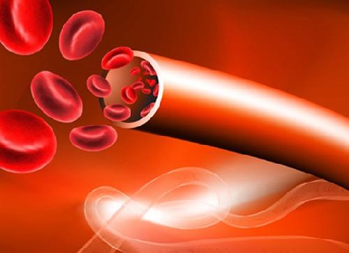 研究人员展示了干细胞如何退出血液