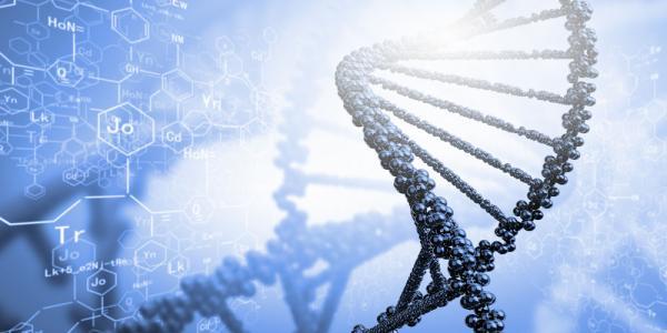 科学家为电子应用设计可调DNA