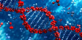 赛诺菲将开发用于免疫肿瘤学和其他领域的生物制剂双特异性抗体