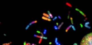 阿斯利康英国癌症研究中心将成立功能基因组学中心