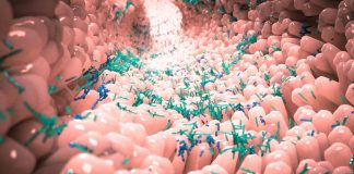 人类肠道抵抗组织含有6000多个基因