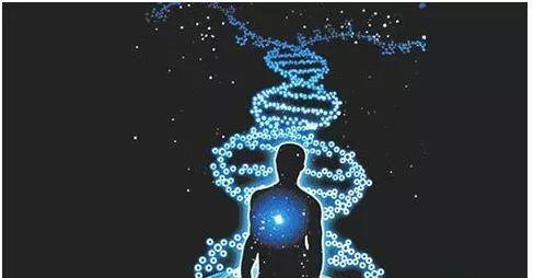 科学家公布了创造合成人类基因组的计划