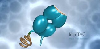 基因泰克共同开发免疫孔癌免疫治疗候选药物IMC-C103C