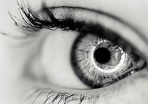 关于眼睛信号混合的新发现