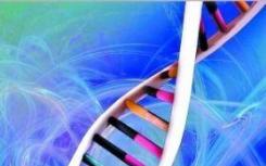 可量化蛋白质标签的基因组工程