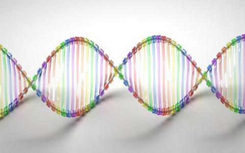 创造人类基因组 用基因驱动摧毁整个物种