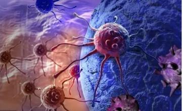 如何阻止癌细胞分裂