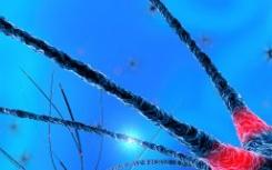 欧洲财团赢得€3.7开发 研究神经系统疾病的模型