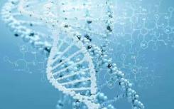 CRISPR基因激活指南