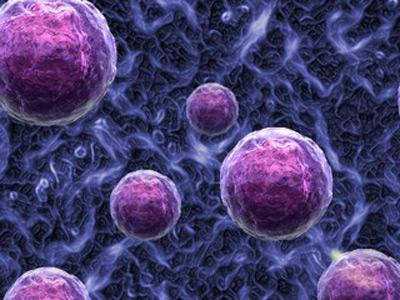 新发现的细胞爆发涉及细菌分泌和粘附