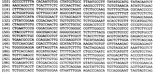 科学家解开DNA序列的秘密