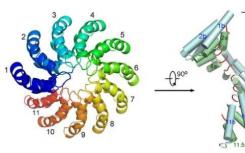 DNA超螺旋的模式
