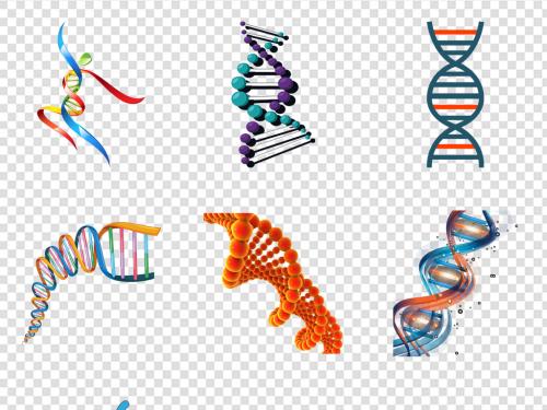 qPAINT计算细胞内的生物分子