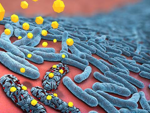 研究发现感染细菌的病毒存在巨大差异