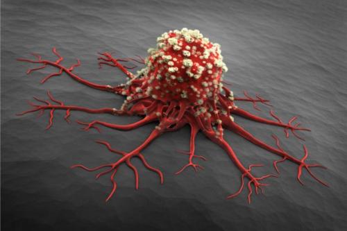 治疗癌症和血管疾病的新方法