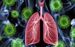 细菌空气传播信号促进肺部感染的真菌生长