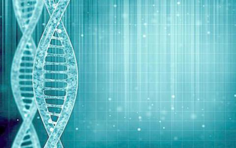 长读DNA分析可能会导致错误