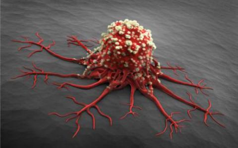 治疗癌症和血管疾病的新方法