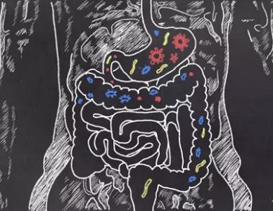 科学家开发了用于分析肠道细菌的有力方法