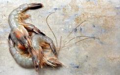 寄生虫帮助盐水虾应对砷栖息地污染