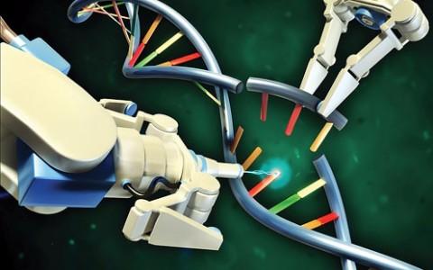 研究人员增强了CRISPR基因编辑技术