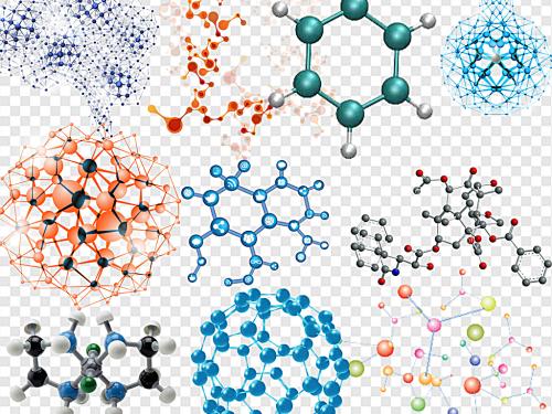 蛋白质显示为胶水 将生物分子保持在核仁内