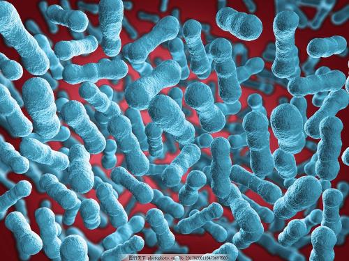 什么使细菌物种能够导致人类疾病