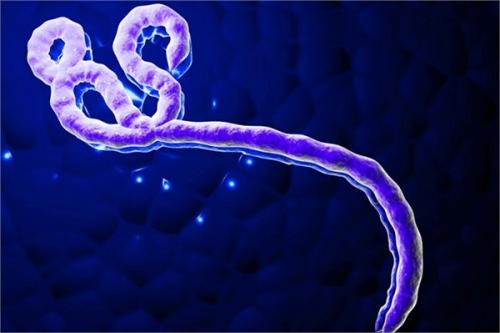 研究人员建议基因驱动策略来对抗有害的病毒传播