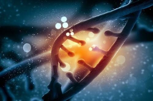 RNA修饰发现提出了控制基因表达的新代码